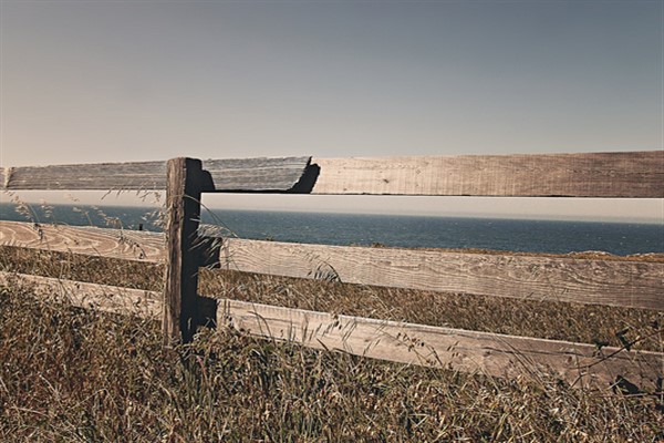 “500 bin Filistinlinin Türkiye’ye alınacağı” iddialarına yalanlama