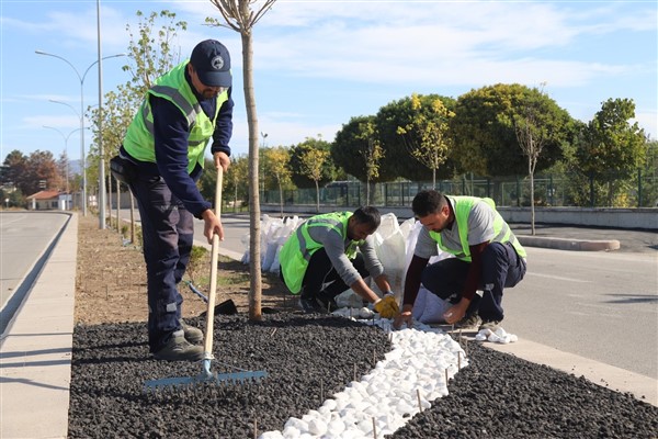 Eskişehir’de su kıtlığına karşı kuru peyzaj uygulaması başlatıldı