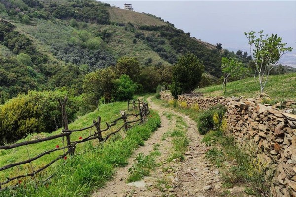 Efeler Yolu, ”En İyi 100 Hikaye” listesinde