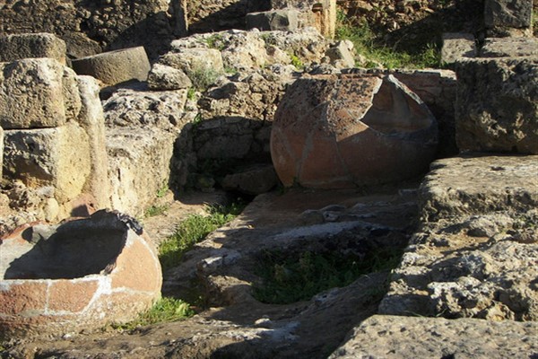 Bakan Ersoy: “37 parça eserimiz, artık ait olduğu topraklara dönüyor”