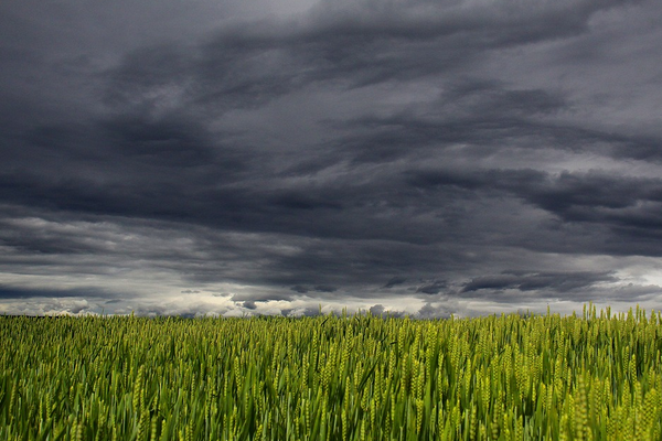 Doğu Anadolu’nun doğusunda kuvvetli rüzgar ve fırtına bekleniyor