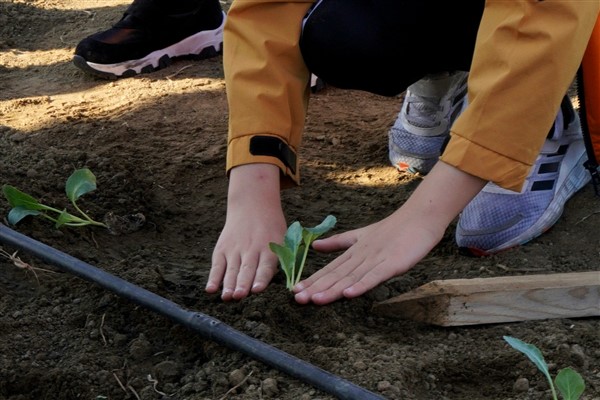 Beylikdüzü’nde çocuklar kışlık fideleri toprakla buluşturdu