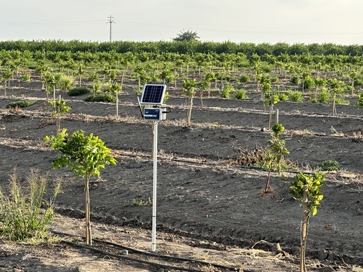 Tarımın internetiyle ‘Mahsul’ güvende