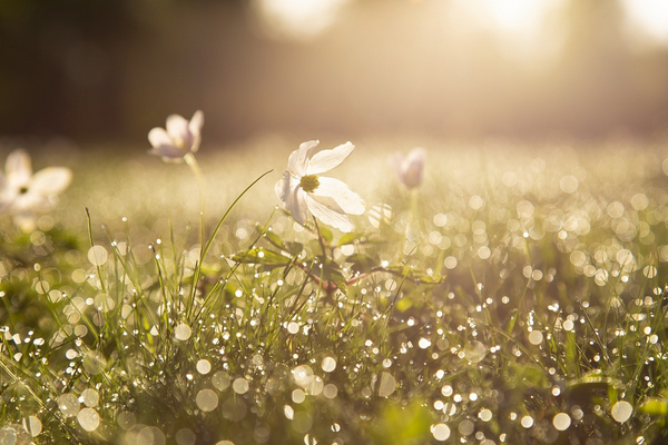 Bakan Bak,  Hüyük Tarım Gençlik Kampı’nın açılışına katıldı