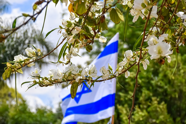 İsrail Cumhurbaşkanı Herzog, Eilat’ta barınan insanlarla bir araya geldi