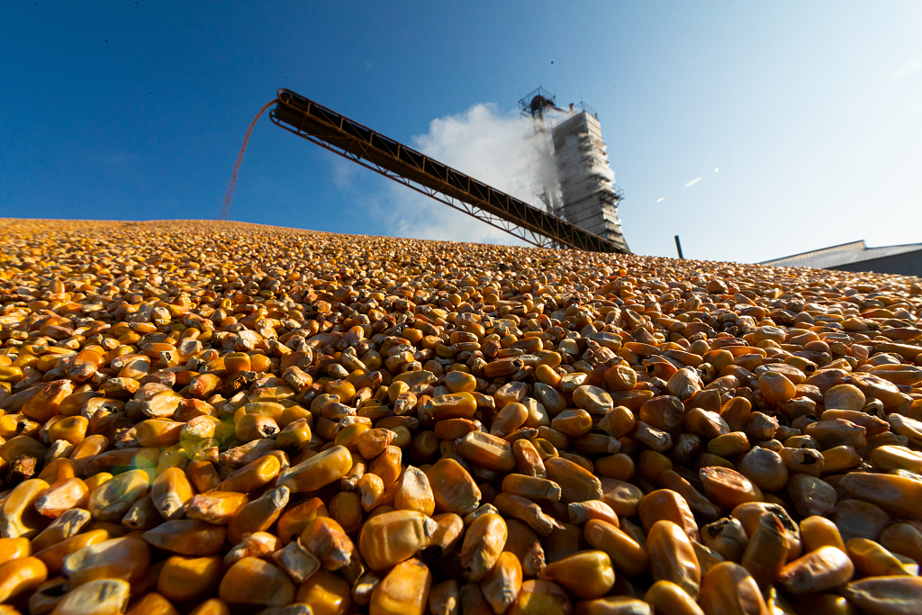 Çin: Gıda stokumuz yüksek seviyede korunuyor