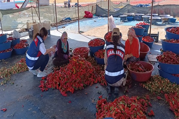 Şanlıurfa’da KADES eğitimi verildi