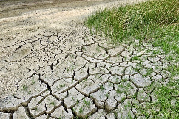 DSÖ Genel Direktörü Ghebreyesus: “İklim krizi bir sağlık krizidir”