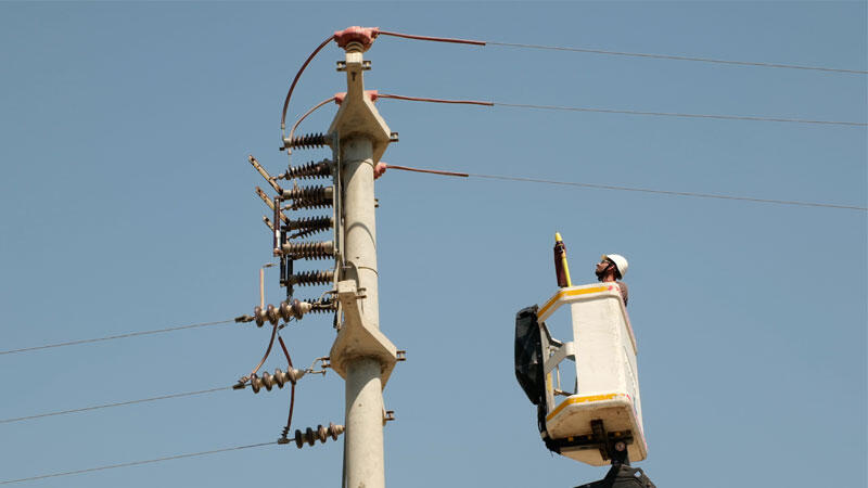 Toroslar EDAŞ göçmen kuşları yalıtımlı hatlarıyla koruyor