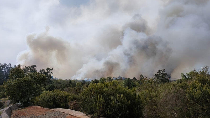 Kanarya Adaları’nda yangın: 3 bin sivil tahliye edildi