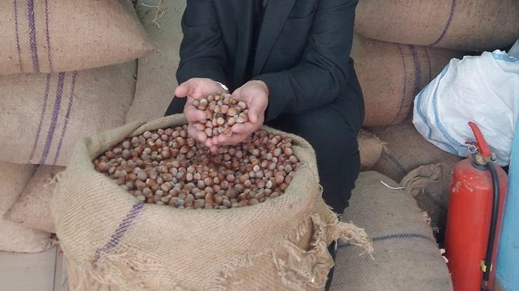 ‘Fındık fiyatı güncellensin’ talebi