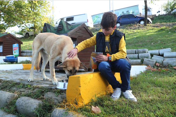 İstoç İlköğretim Okulu öğrencileri, can dostlarla buluştu