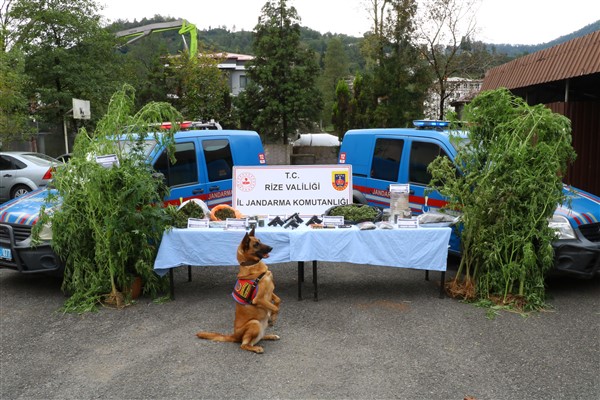 Rize’de uyuşturucu operasyonunda 14 şüpheli yakalandı