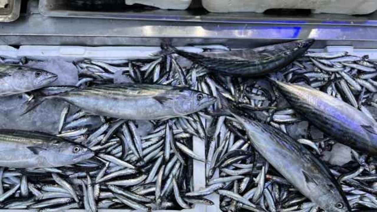 Balık tezgahlarında hafta sonu bereketi