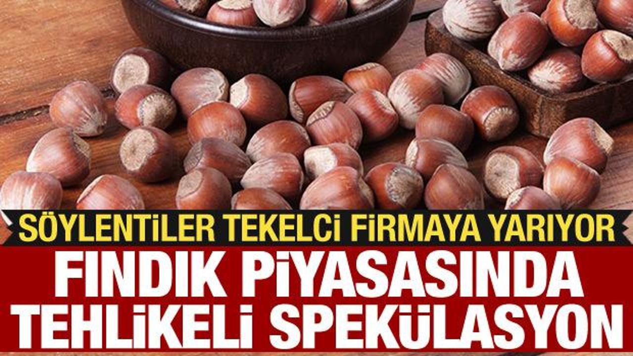 Fındıkta fiyat kırdıracak spekülasyon: Söylentiler tekelci firmanın oyunu mu?