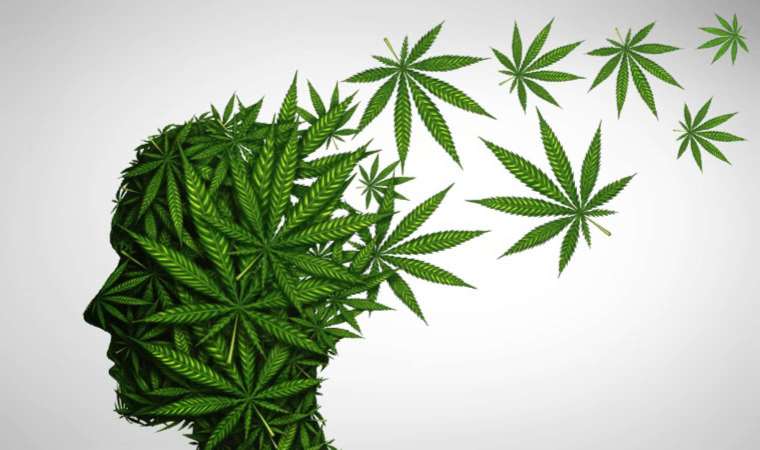 Hint keneviri tüketiminin dakika dakika etkileri