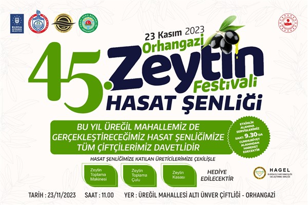 Orhangazi’de 45’inci ‘Zeytin Hasat Şenliği’ başlıyor