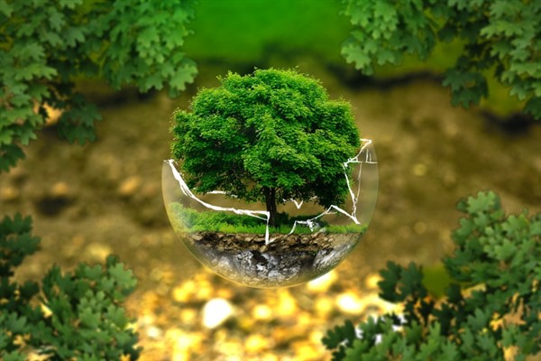 BM Yüksek Düzeyli Şahsiyetler Sıfır Atık Danışma Kurulu’nun ilk resmi toplantısı yapıldı