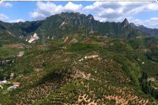 FAO’nun tarımsal miraslar listesine Çin’den üç sistem dâhil edildi