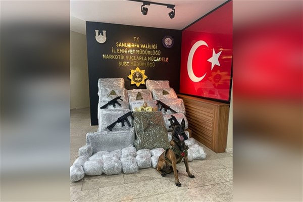 Şanlıurfa’da 170 kilo 700 gram skunk ele geçirildi