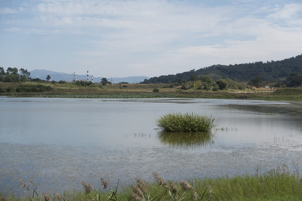 Bakan Yumaklı: “2030’da su kaynaklarının yüzde 20 azalacağını öngörüyoruz”