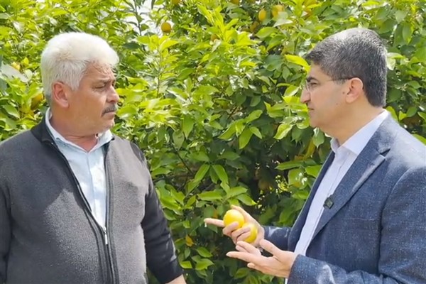 DEVA Partili Ekmen’den Bakan Yumaklı’ya: “Narenciye çözüm bekliyor”