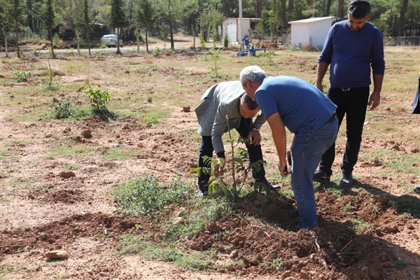 Muğla Kavaklıdere’de deneme bahçesi oluşturuldu