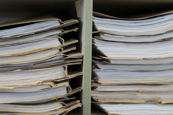 Scholz: “Vatandaşlar artık resmi dairelere gitmek zorunda kalmayacak”