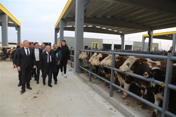 Başkan Büyükkılıç, Canlı Hayvan Pazarı’nda sıkı pazarlığa katıldı