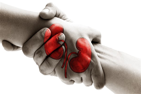 Organ bağışı hakkında merak edilenler