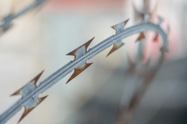 NATO Genel Sekreteri Stoltenberg, Macaristan Cumhurbaşkanı Novak ile görüştü