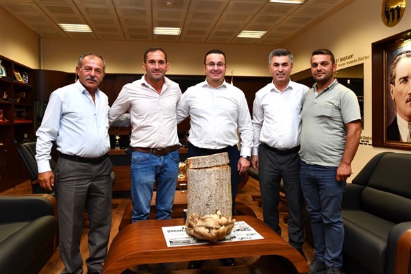 Mustafakemalpaşa’da kütük mantarı üretiliyor