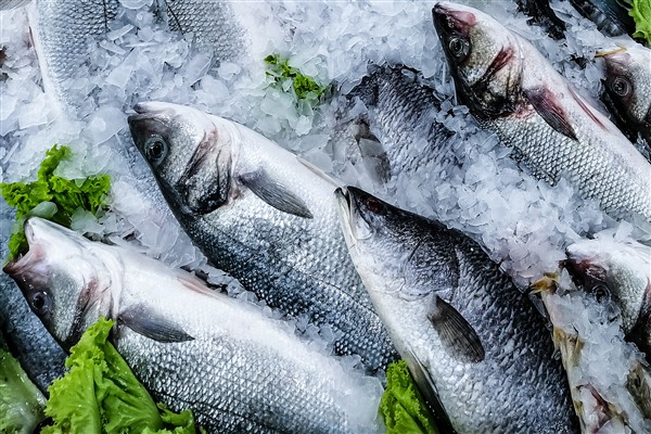 Türkiye’nin 10 aylık su ürünleri ihracatı 1 milyar 404 milyon dolar oldu