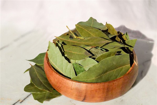 Tarım Güçbirliği Kooperatifi 5 ton defne yaprağı sattı