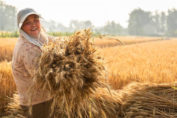 Xi’nin “kapsamlı tarım konsepti” ve “kapsamlı gıda konsepti”