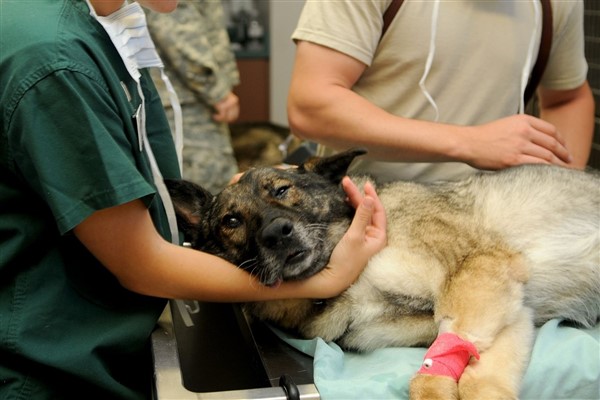 Bakan Yumaklı: ”Veteriner sağlık teknikerine yapılan saldırının takipçisi olacağız”