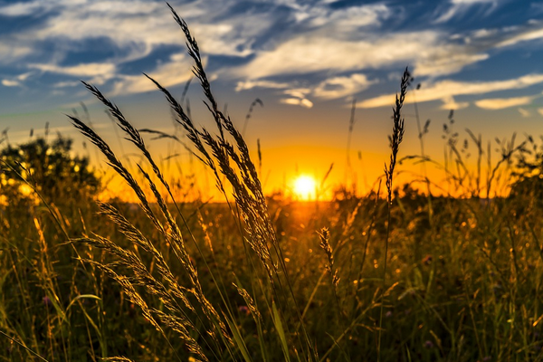 2023’te toplam 3 milyar TL hibe desteği sağlandı