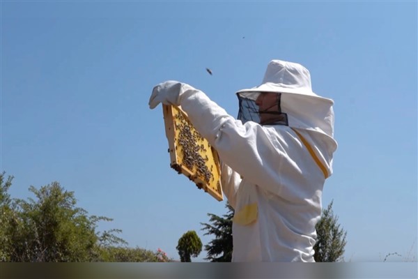 Tuzla’da Arıcılık Kursu’nu tamamlayan 40 kursiyer sertifika almaya hak kazandı