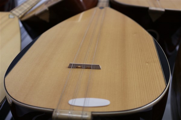 Bakan Tekin, Aşık Reyhani’yi andı