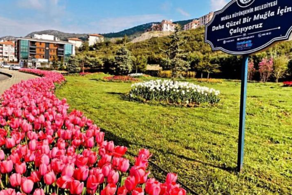 Muğla’da yeşil alan miktarı il genelinde yüzde 92 artırıldı