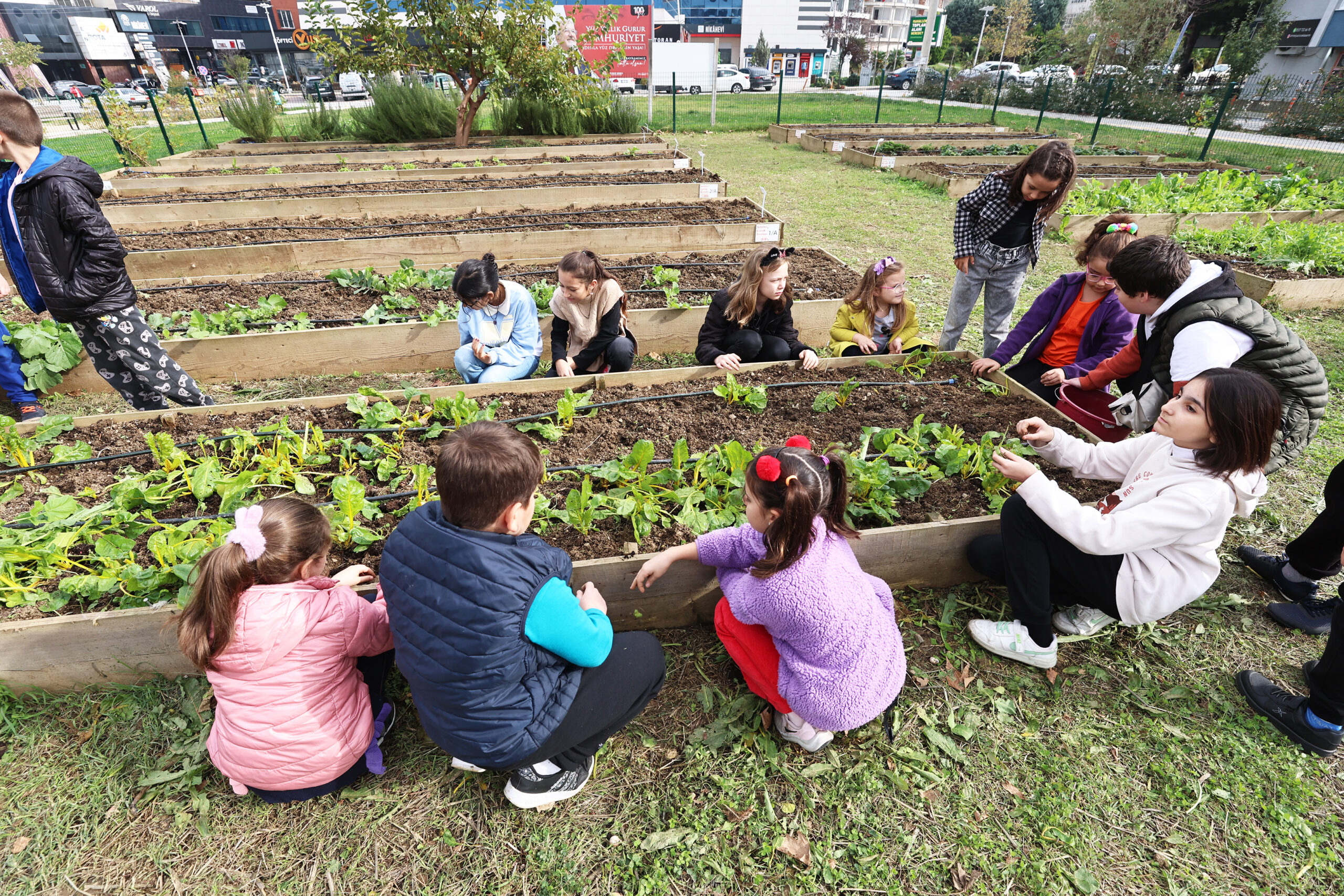 Tarımda ‘mahalle’ seferberliği