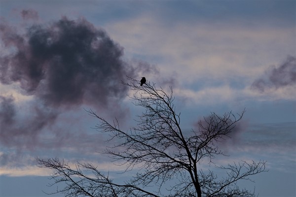 Hava sıcaklıkları mevsim normalleri altına düşecek