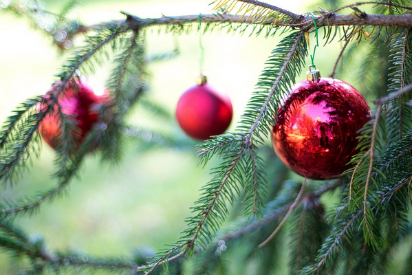 Bakan Ersoy: ” 2024’ün huzur, mutluluk ve güzelliklerle dolu olmasını temenni ediyorum”