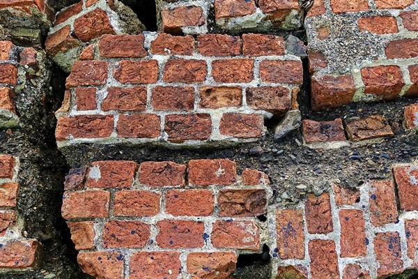 Prof. Dr. Görür: “Depremi kuzey kolda bekliyoruz”