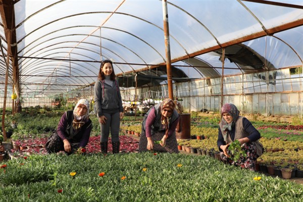 Muğla’nın kadınları 25 milyon çiçek üretti