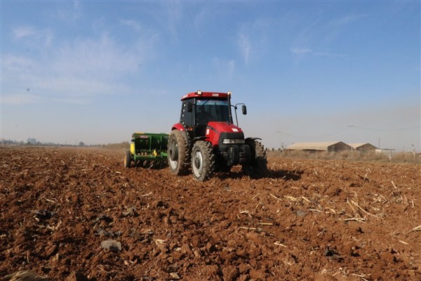 Şanlıurfa Büyükşehir Belediyesi buğday ekimine başladı