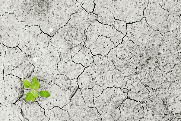 EBRD iklim kriziyle mücadeleye destek stratejisini onayladı