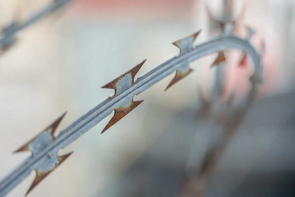 NATO Genel Sekreteri Stoltenberg’ten yeni yıl mesajı