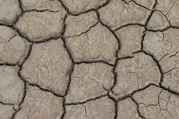 Guterres: “Diğer krizlerden dolayı iklim değişikliğini unutamayız”