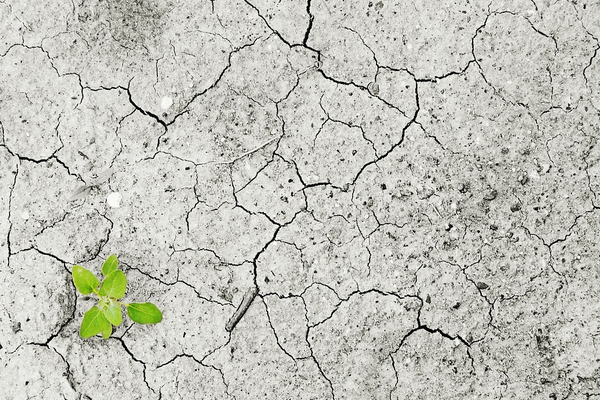 Guterres: “Sözlerden eyleme geçme zamanı geldi”